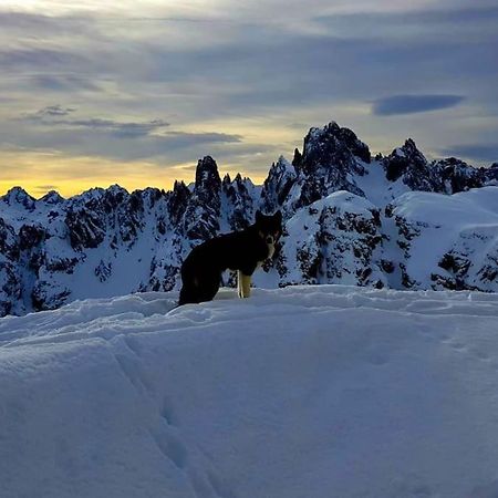 Appartamento Daniela Dolomiti. Auronzo di Cadore Zewnętrze zdjęcie