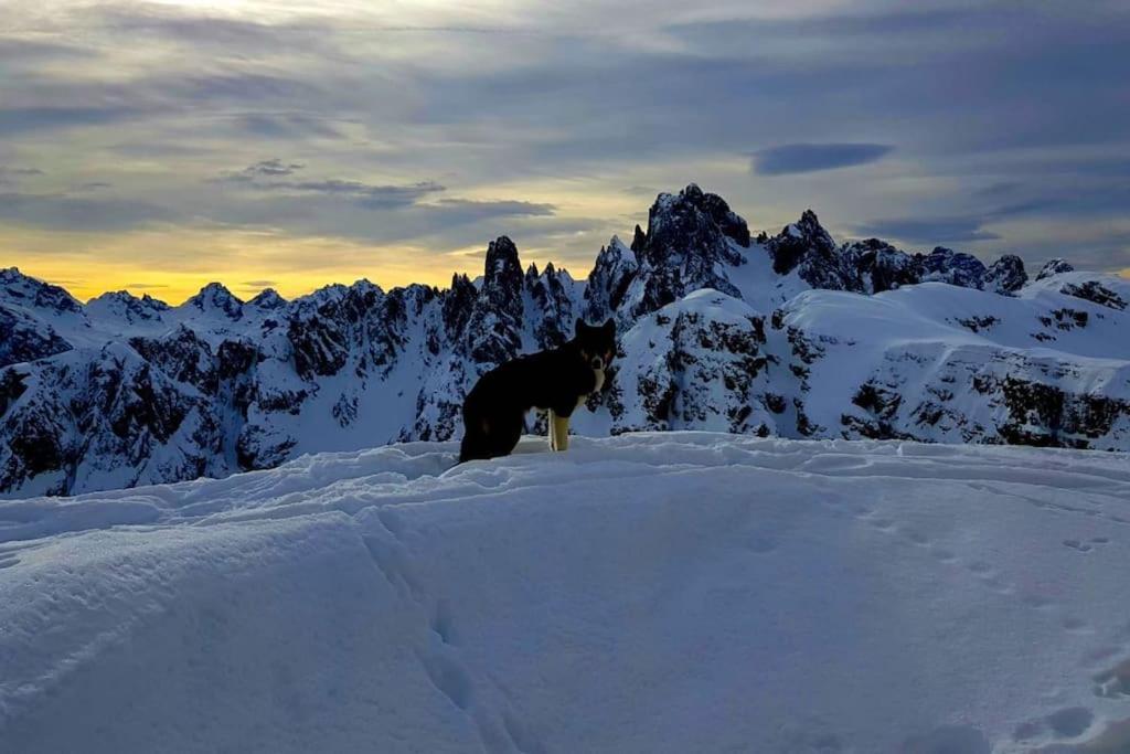 Appartamento Daniela Dolomiti. Auronzo di Cadore Zewnętrze zdjęcie